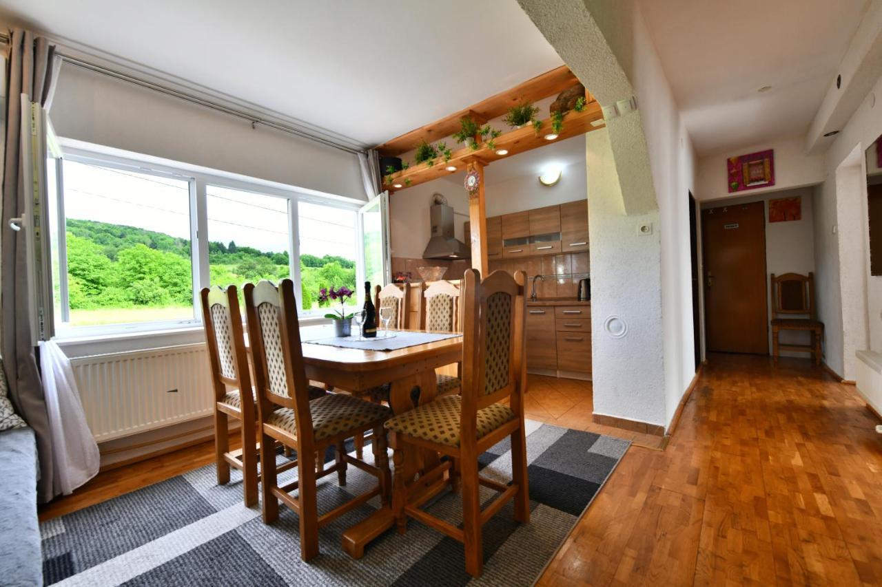 Apartment Marija Zupan Rakovica Esterno foto