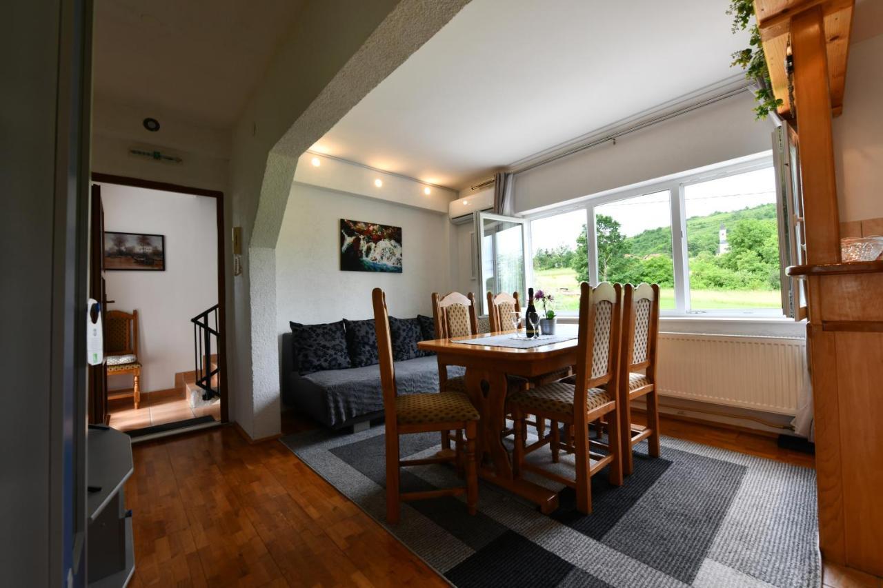 Apartment Marija Zupan Rakovica Esterno foto