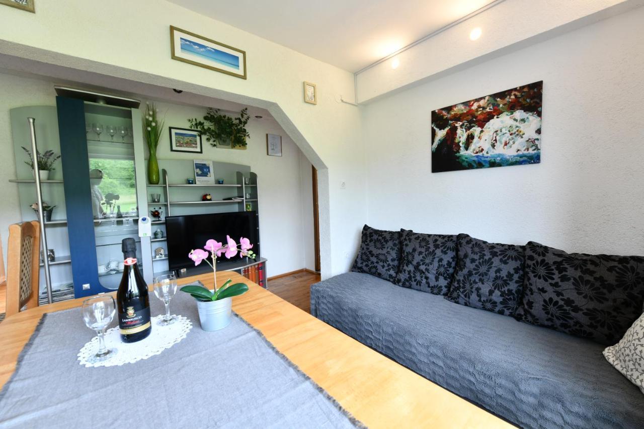 Apartment Marija Zupan Rakovica Esterno foto