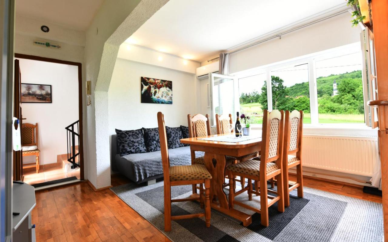 Apartment Marija Zupan Rakovica Esterno foto